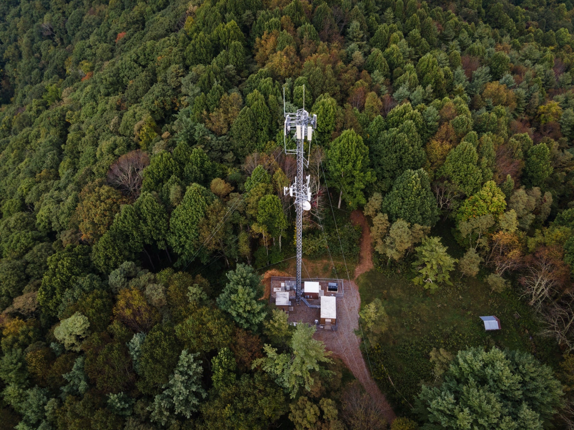 Aerial view of communications infrastructure in forest